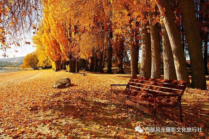 暗影之刃