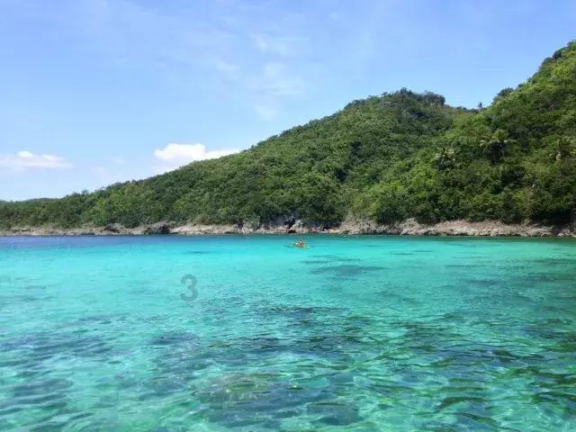 救援花栗鼠