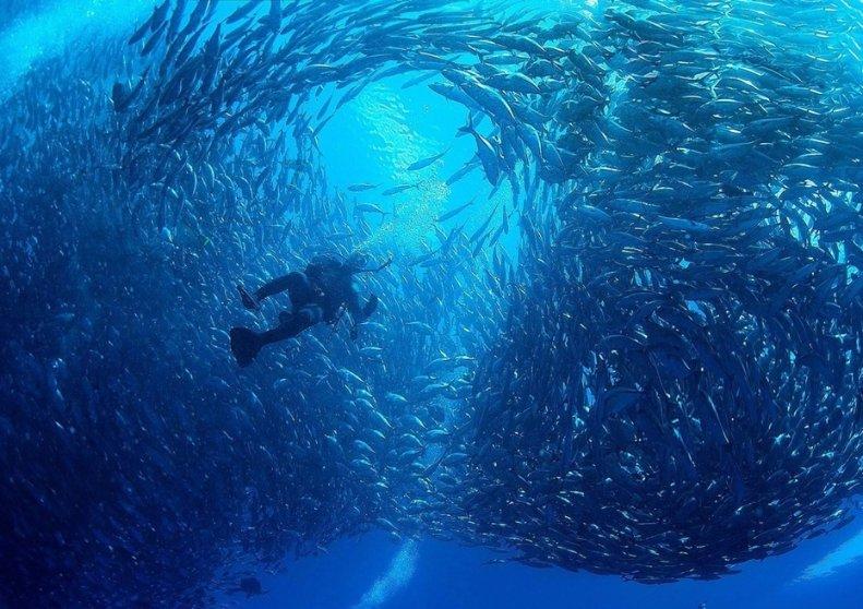XpertHR：2023年末英国薪资涨幅保持在6% 今年初有所下降