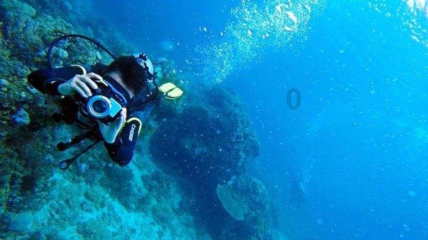 初级经济师三色笔记电子版百度网盘