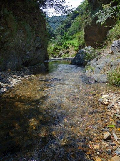 寂静岭5：归乡