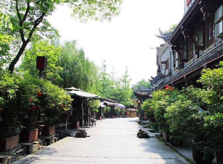 同伴反馈主要理论依据是()。 A.建构主义学习理论 B.社会学习理论
