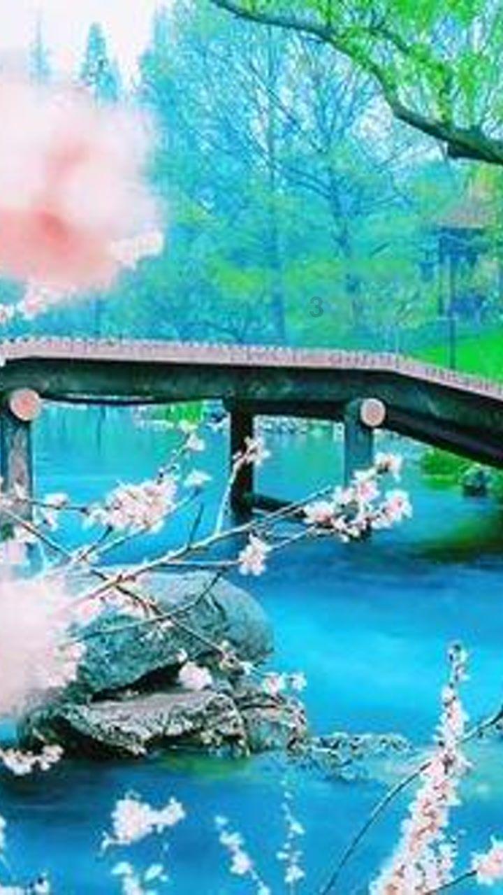 上古卷轴5